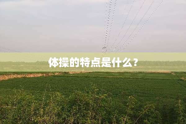 体操的特点是什么？