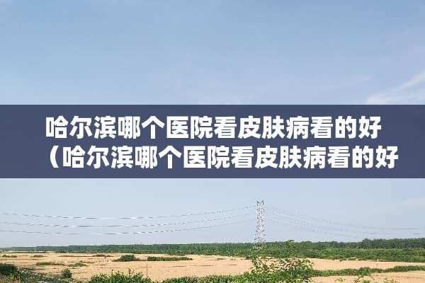 哈尔滨哪个医院看皮肤病看的好（哈尔滨哪个医院看皮肤病看的好些）