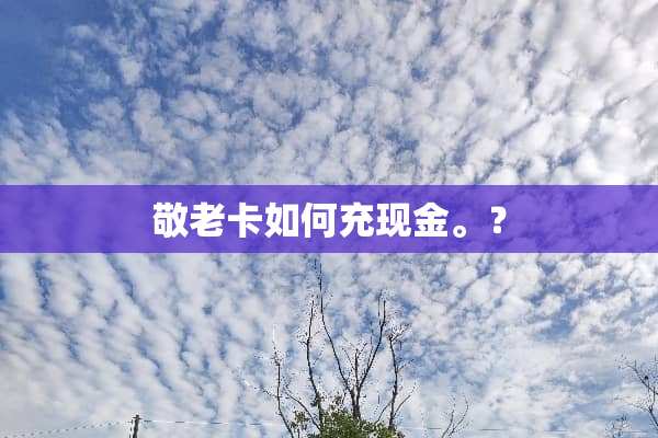 敬老卡如何充现金。？