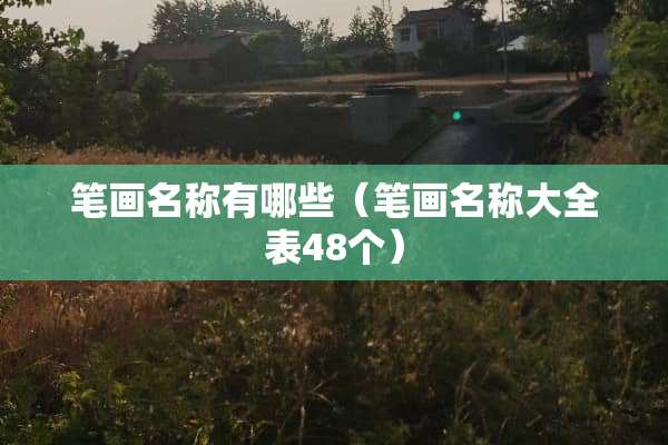 笔画名称有哪些（笔画名称大全表48个）