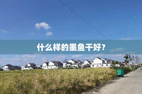 什么样的墨鱼干好？