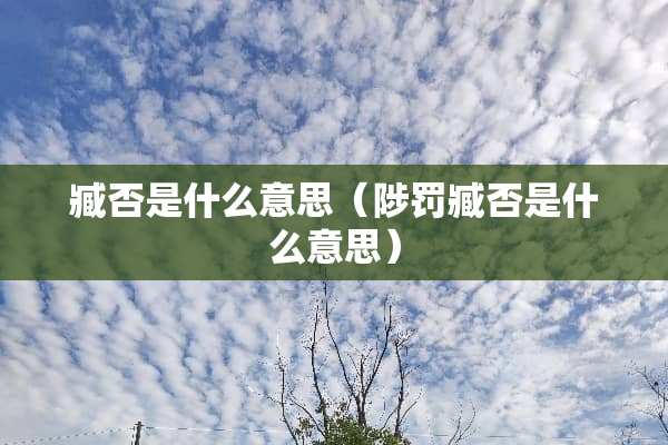 臧否是什么意思（陟罚臧否是什么意思）
