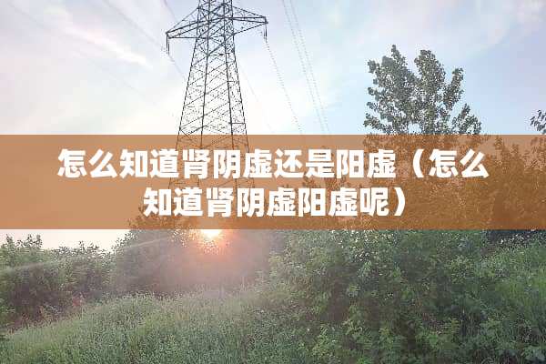 怎么知道肾*虚还是阳虚（怎么知道肾*虚阳虚呢）