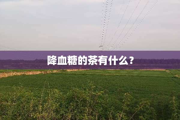 降血糖的茶有什么？