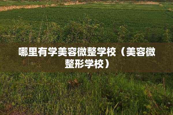 哪里有学美容微整学校（美容微整形学校）