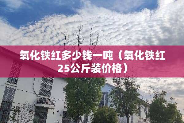 **铁红多少钱一吨（**铁红25公斤装价格）