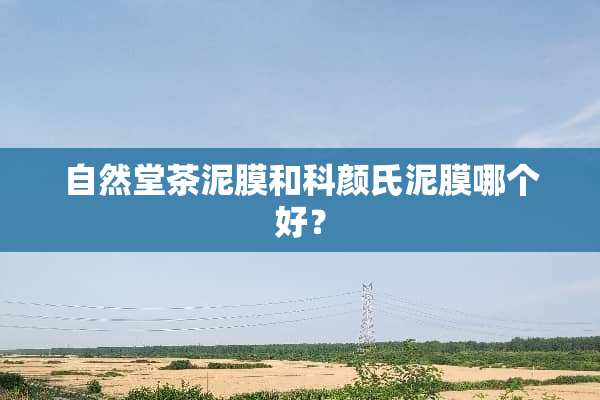 自然堂茶泥膜和科颜氏泥膜哪个好？