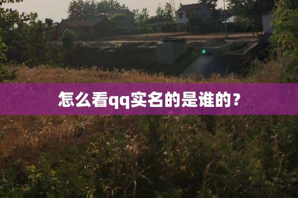 怎么看qq实名的是谁的？