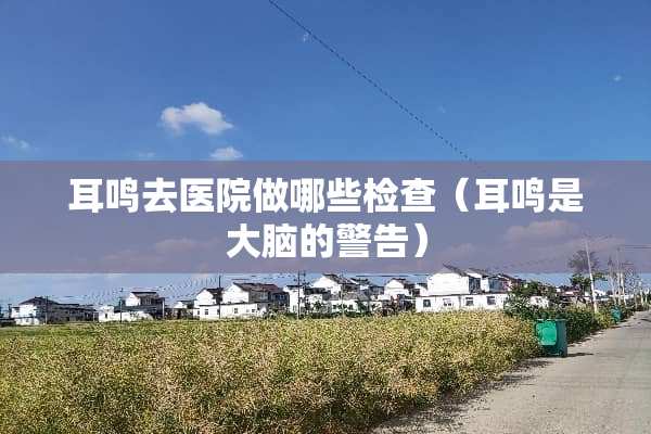 耳鸣去医院做哪些检查（耳鸣是大脑的警告）