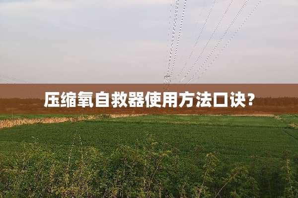 压缩氧自救器使用方法口诀？