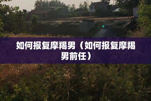 如何报复摩羯男（如何报复摩羯男前任）