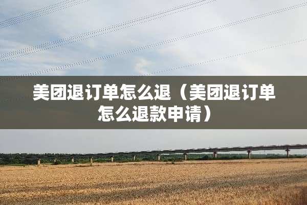 美团退订单怎么退（美团退订单怎么退款申请）