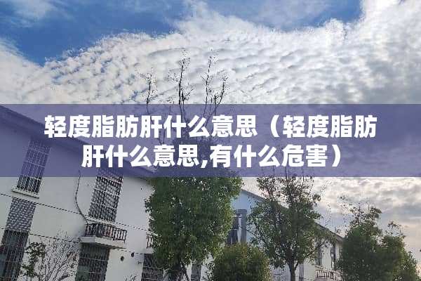轻度脂肪肝什么意思（轻度脂肪肝什么意思,有什么危害）