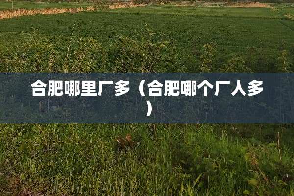 合肥哪里厂多（合肥哪个厂人多）