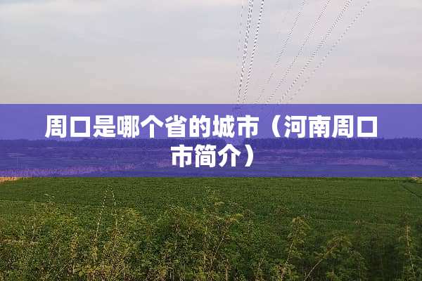 周口是哪个省的城市（河南周口市简介）