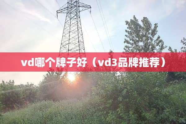 vd哪个牌子好（vd3品牌推荐）