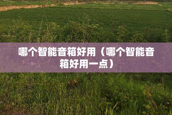 哪个智能音箱好用（哪个智能音箱好用一点）