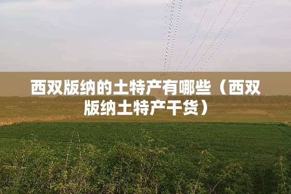 西双版纳的土特产有哪些（西双版纳土特产干货）