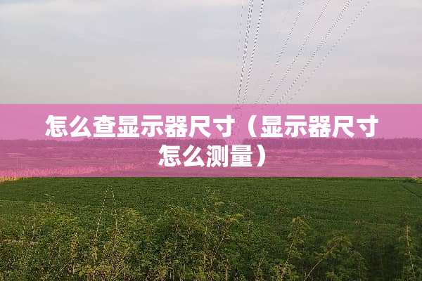 怎么查显示器尺寸（显示器尺寸怎么测量）