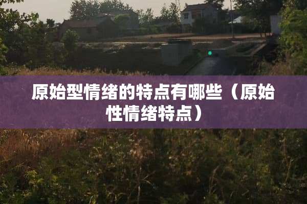 原始型情绪的特点有哪些（原始性情绪特点）
