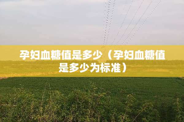 孕妇血糖值是多少（孕妇血糖值是多少为标准）