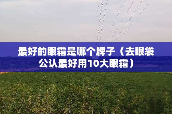 最好的眼霜是哪个牌子（去眼袋公认最好用10大眼霜）