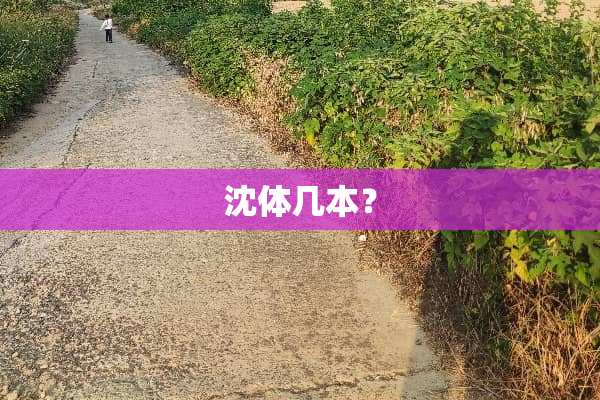 沈体几本？