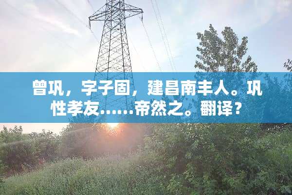 曾巩，字子固，建昌南丰人。巩性孝友……帝然之。翻译？