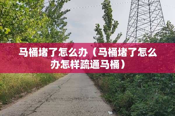 马桶堵了怎么办（马桶堵了怎么办怎样疏通马桶）