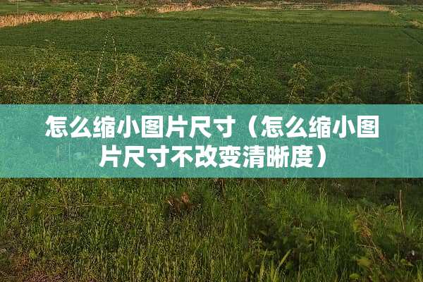 怎么缩小图片尺寸（怎么缩小图片尺寸不改变清晰度）