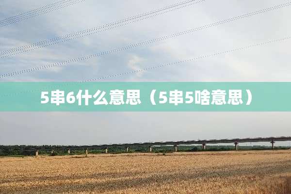 5串6什么意思（5串5啥意思）