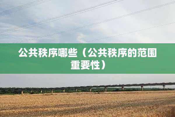 公共秩序哪些（公共秩序的范围重要性）