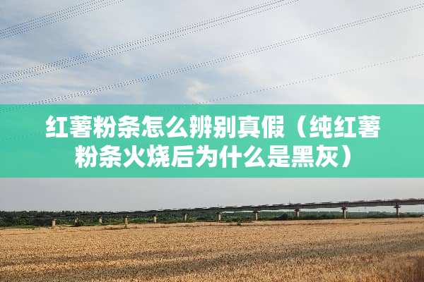 红薯粉条怎么辨别真假（纯红薯粉条火烧后为什么是黑灰）