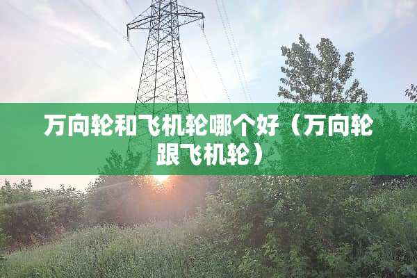 万向轮和飞机轮哪个好（万向轮跟飞机轮）