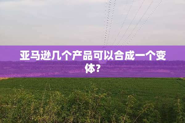 亚马逊几个产品可以合成一个变体？
