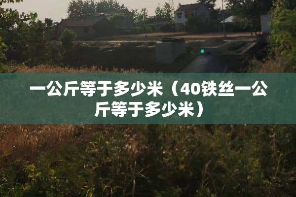 一公斤等于多少米（40铁丝一公斤等于多少米）