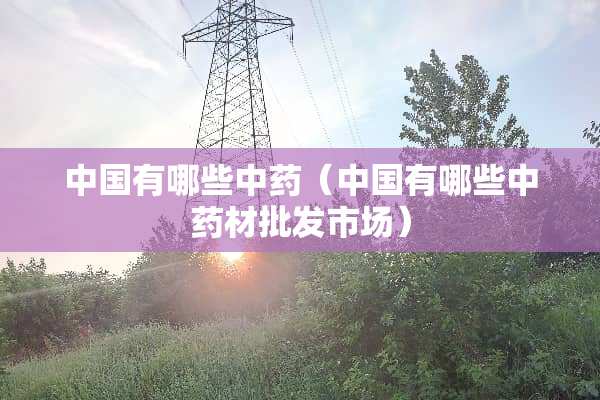 中国有哪些中药（中国有哪些中药材批发市场）