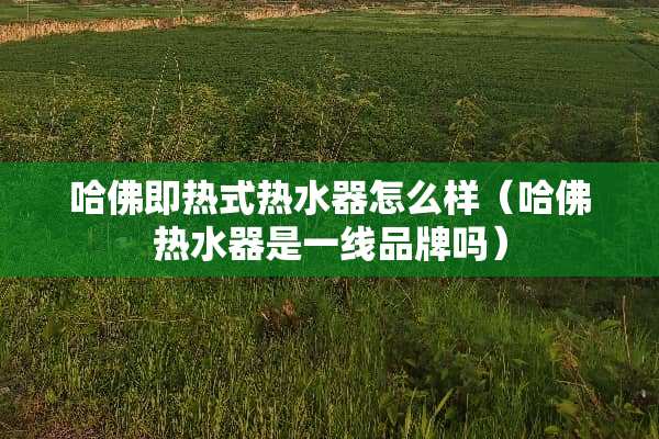 哈佛即热式热水器怎么样（哈佛热水器是一线品牌吗）