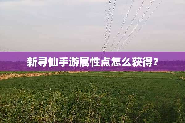 新寻仙手游属性点怎么获得？