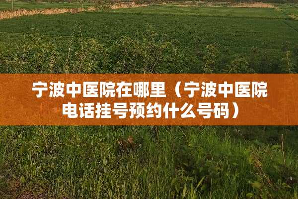 宁波中医院在哪里（宁波中医院电话挂号预约什么号码）