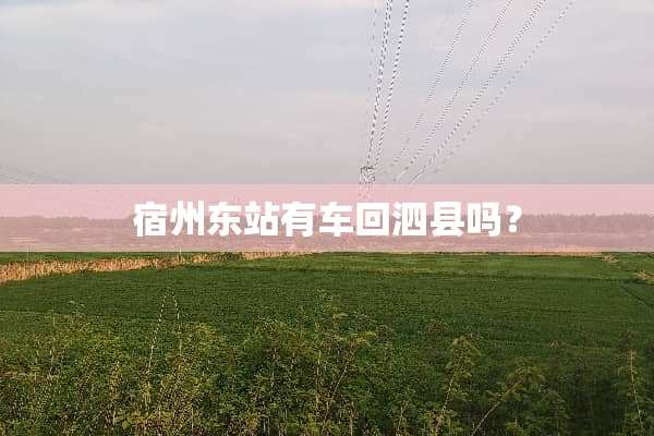 宿州东站有车回泗县吗？