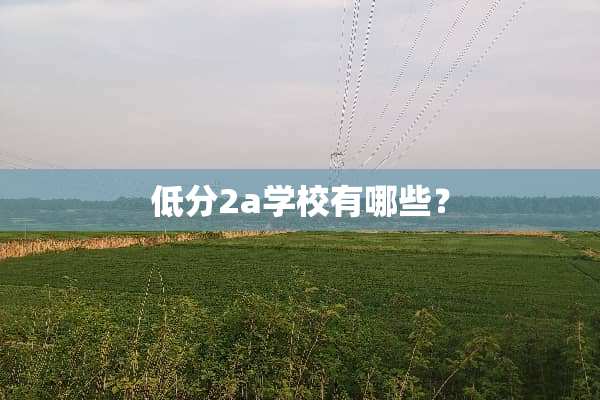 低分2a学校有哪些？