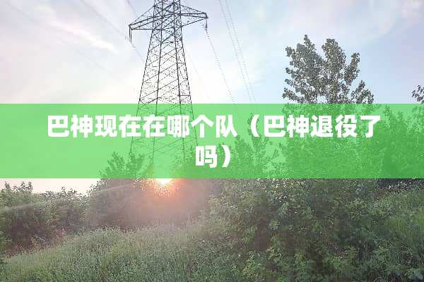 巴神现在在哪个队（巴神退役了吗）