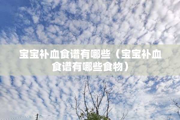 宝宝补血食谱有哪些（宝宝补血食谱有哪些食物）