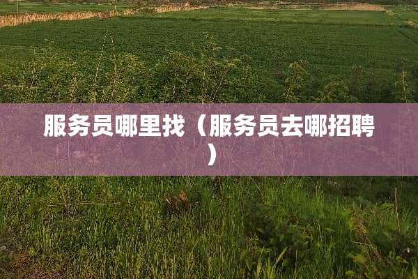 服务员***（服务员去哪招聘）