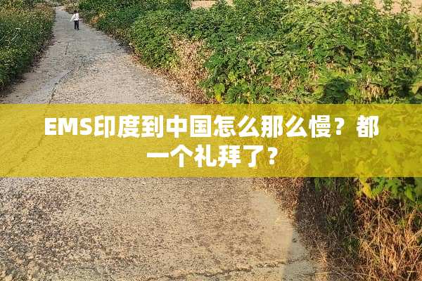 EMS印度到中国怎么那么慢？都一个礼拜了？