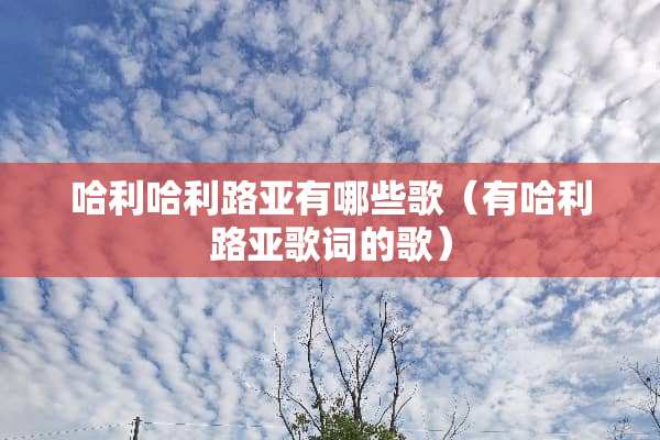 哈利哈利路亚有哪些歌（有哈利路亚歌词的歌）