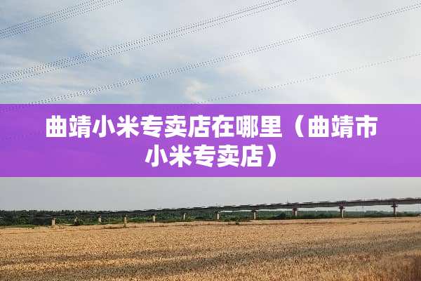 曲靖小米专卖店在哪里（曲靖市小米专卖店）