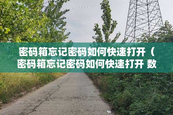 密码箱忘记密码如何快速打开（密码箱忘记密码如何快速打开 数字 拉链）
