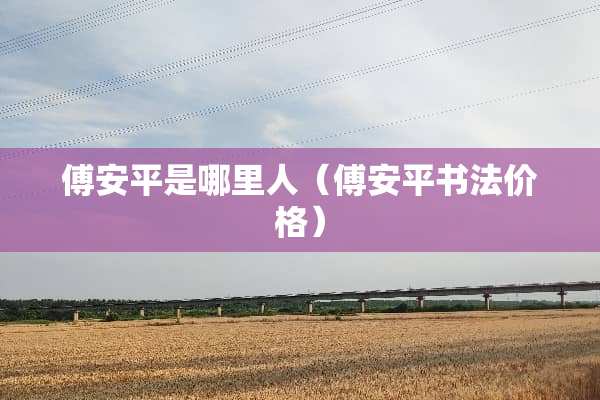 傅安平是哪里人（傅安平书法价格）